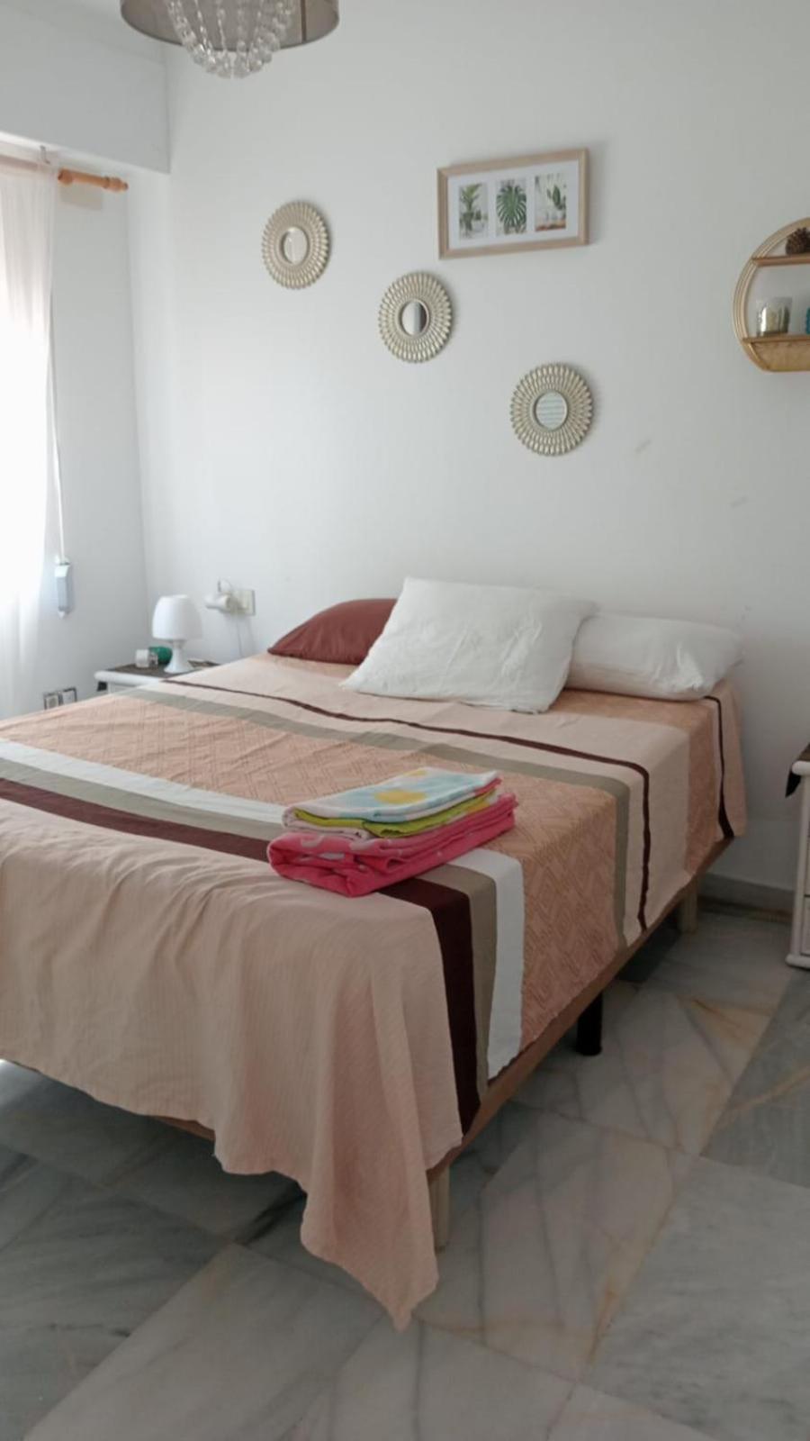 Apartamento Con Wifi, Mascotas Bienvenidas Benidorm Ngoại thất bức ảnh